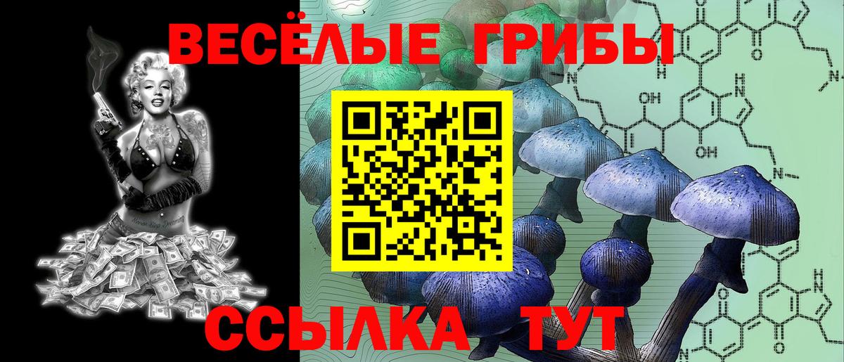 Борисоглебск  Псилоцибиновые грибы Magic Shrooms  Вход с VPN 