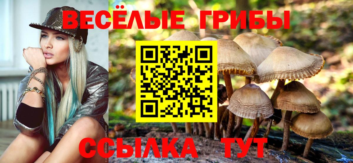  COCAIN Борисоглебск
